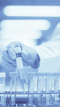 高校研究院（yuàn）